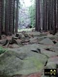 Feuersteinklippen bei Schierke im Harz, Sachsen-Anhalt, (D) Brockengranit - Oberkarbon (4) 26. Juni 2012.JPG